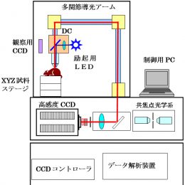 ガン組織イメージング装置ブロック図