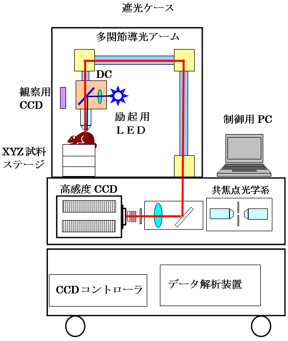 ガン組織イメージング装置ブロック図