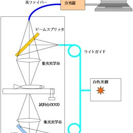 魚卵判別装置光学系概略図