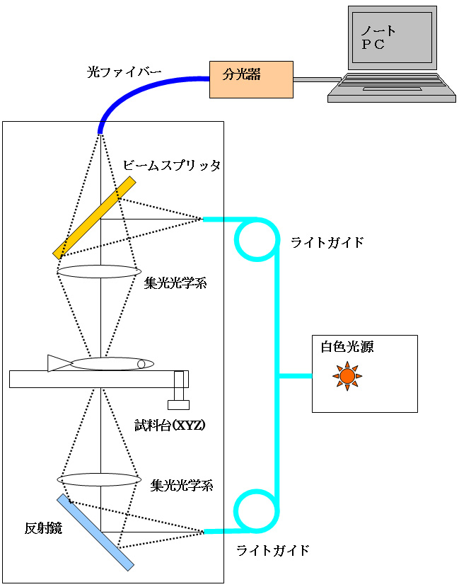 魚卵判別装置光学系概略図