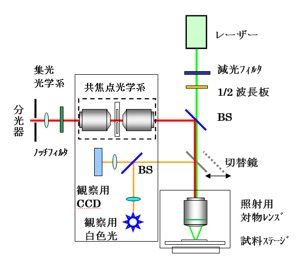 4.2.3h項顕微分析原稿110421_002